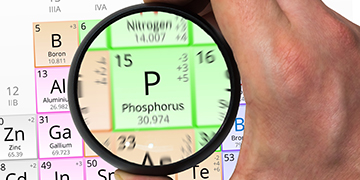 The Science of Phosphorus